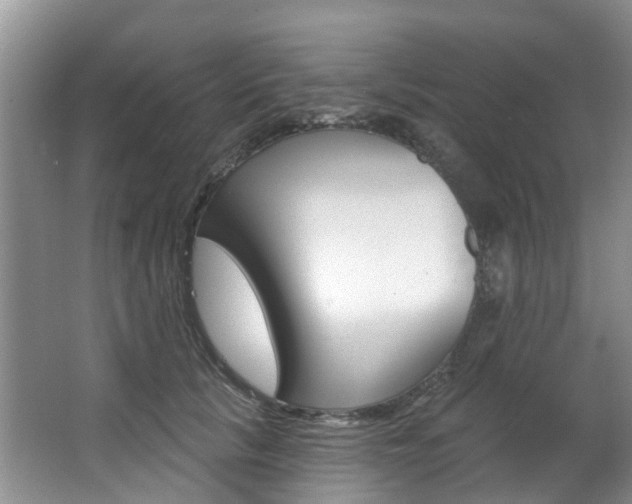 X0000063530657200601201153