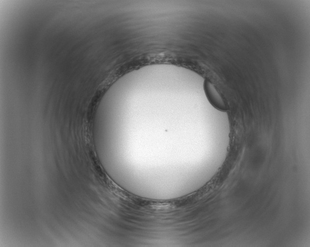 X0000063530659200601201153