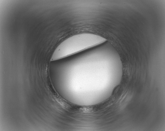 X0000063530660200601201153