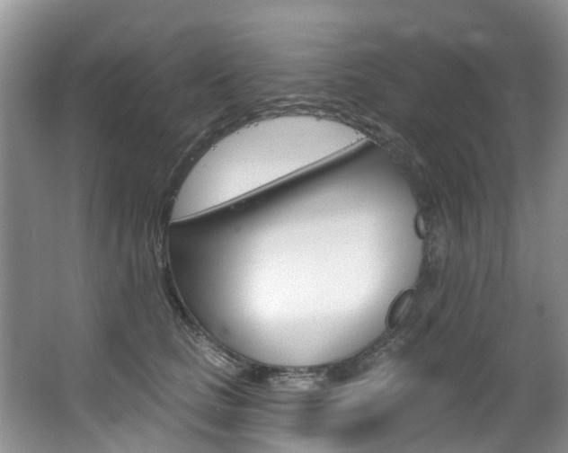 X0000063530661200601201153