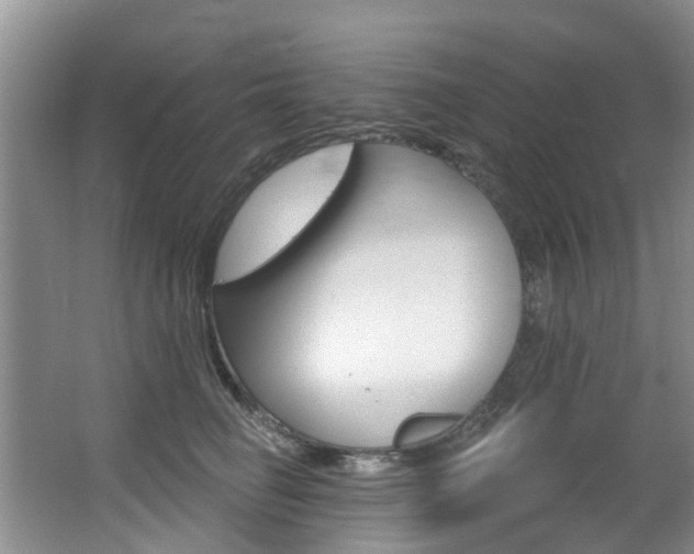 X0000063530662200601201153