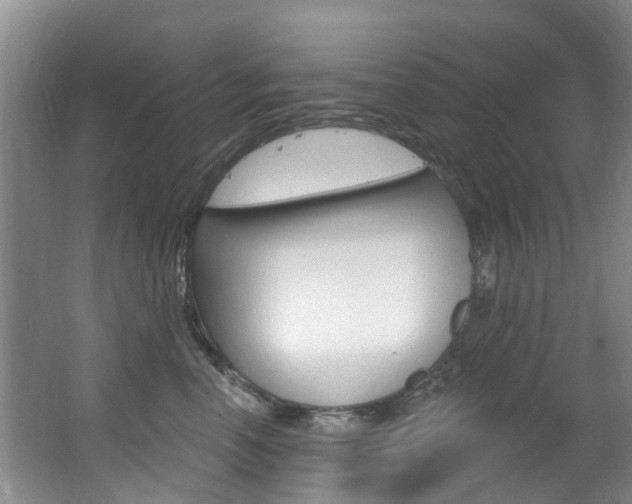 X0000063530666200601201153