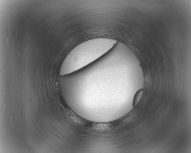 X0000063530671200601201153