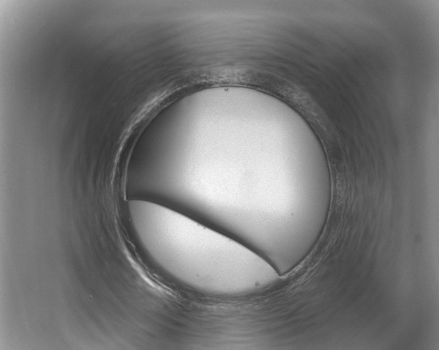 X0000063530674200601201152