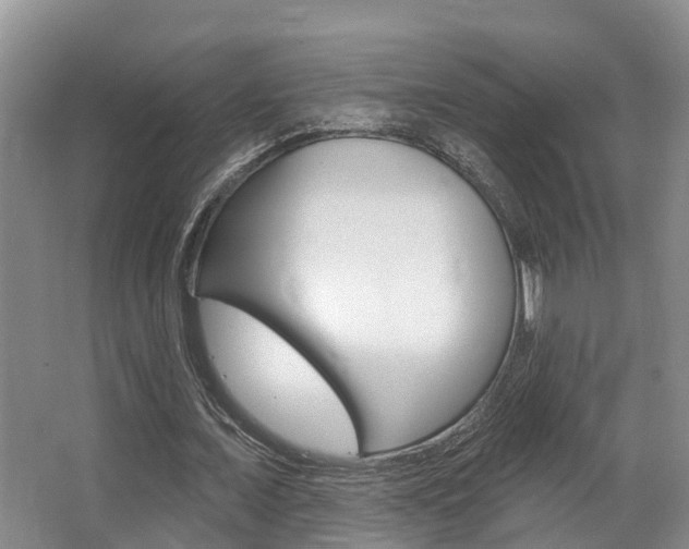 X0000063530675200601201152