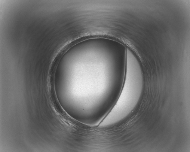X0000063530676200601201152