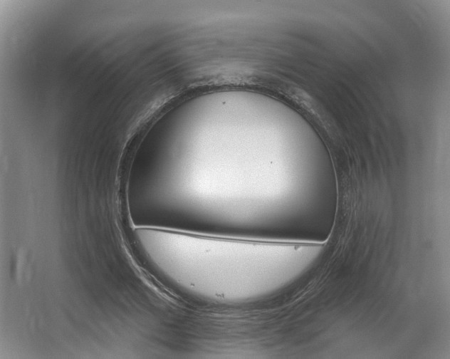 X0000063530677200601201152