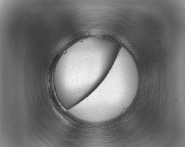 X0000063530683200601201152