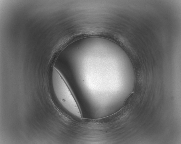 X0000063530685200601201152