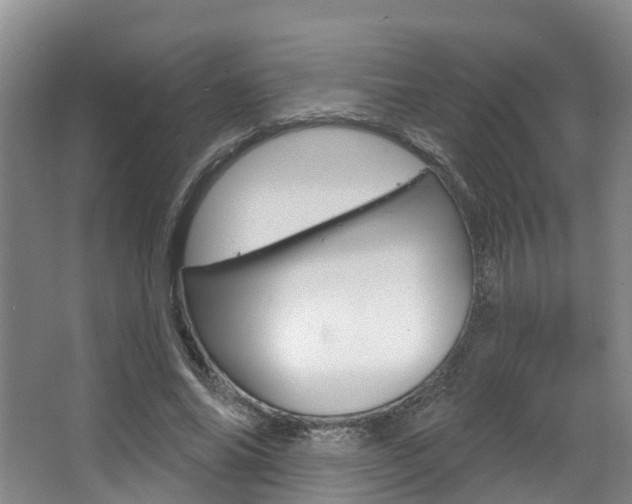 X0000063530686200601201152