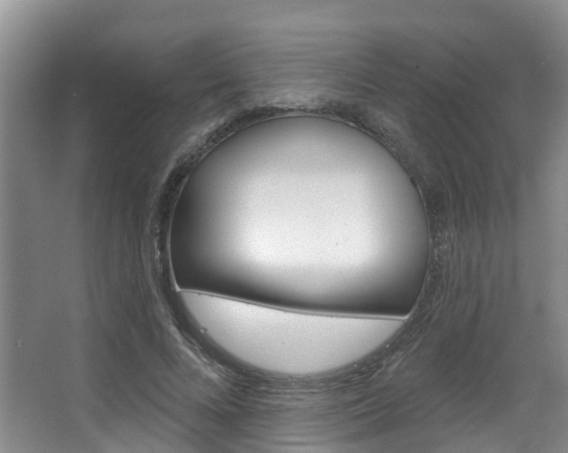 X0000063530688200601201152