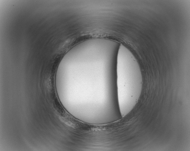X0000063530690200601201152