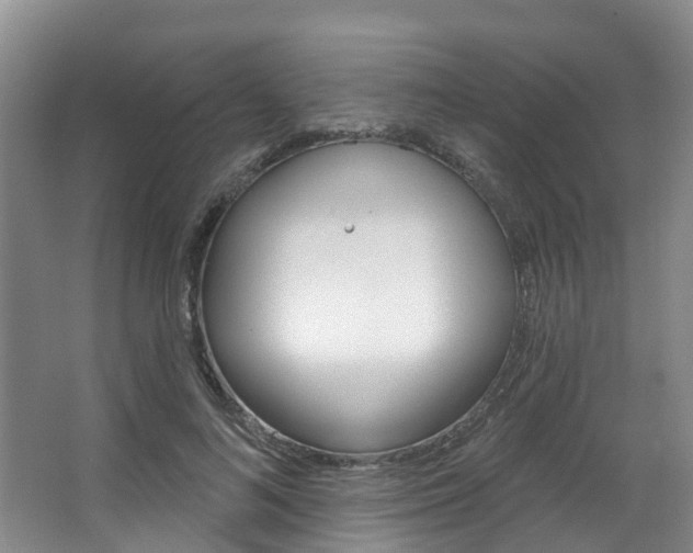 X0000063530692200601201152