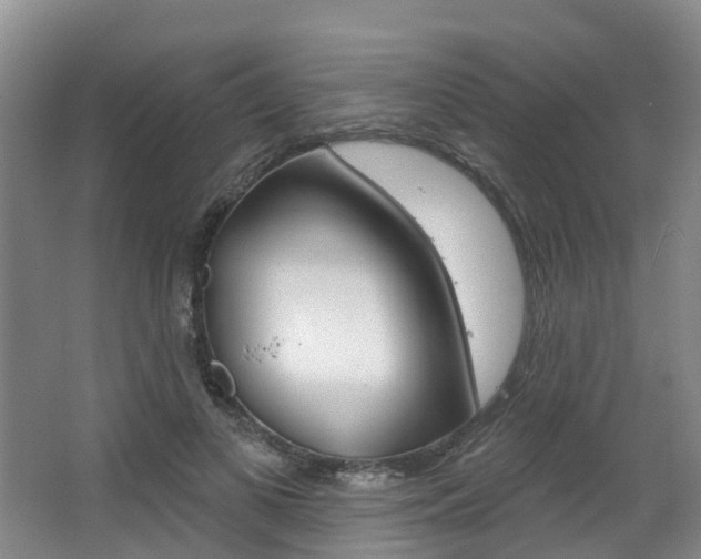 X0000063530693200601201152