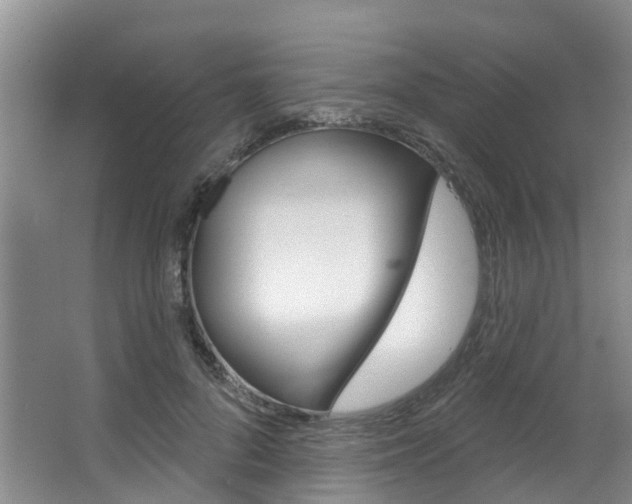 X0000063530696200601201152