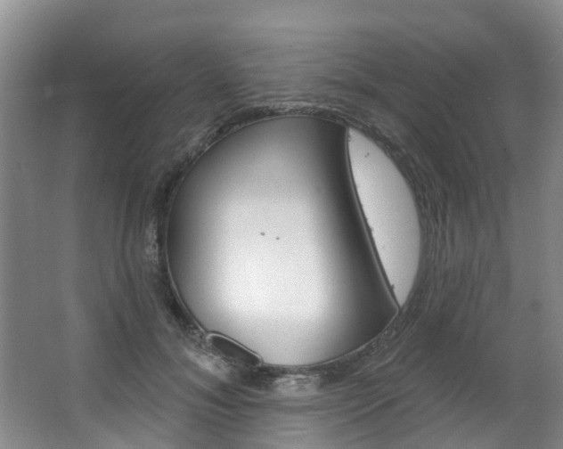 X0000063530700200601201152