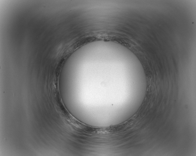 X0000063530702200601201152