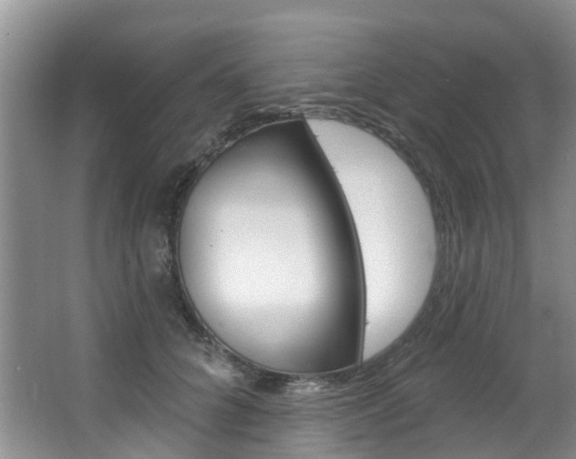 X0000063530704200601201152