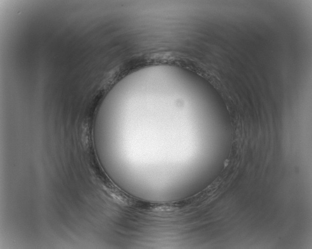 X0000063530708200601201152