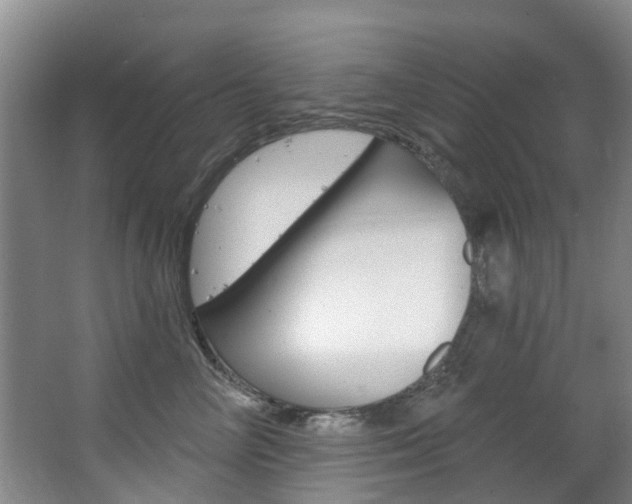 X0000063530714200601201152