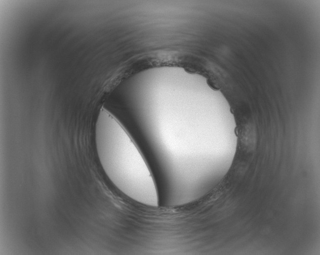 X0000063530715200601201151