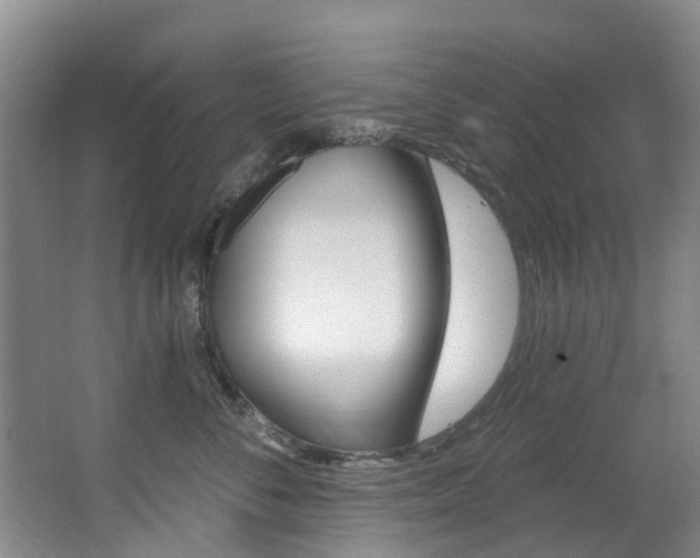X0000063530716200601201151