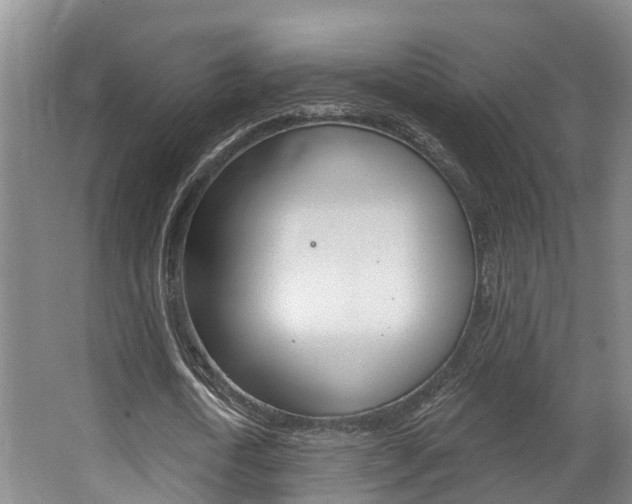 X0000063530722200601201151