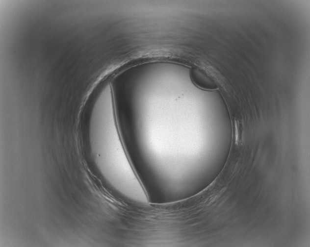 X0000063530723200601201151