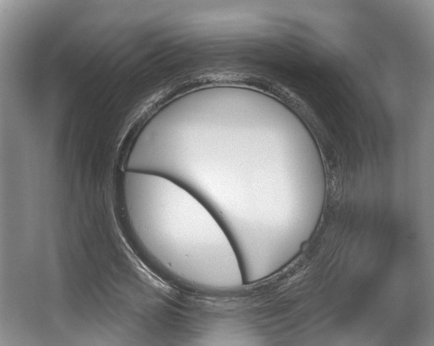 X0000063530725200601201151