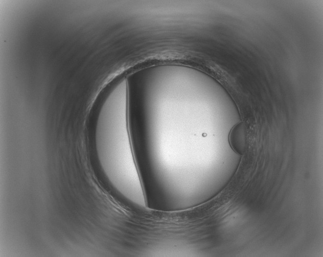 X0000063530727200601201151