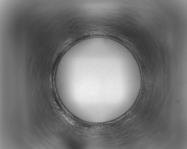 X0000063530729200601201151