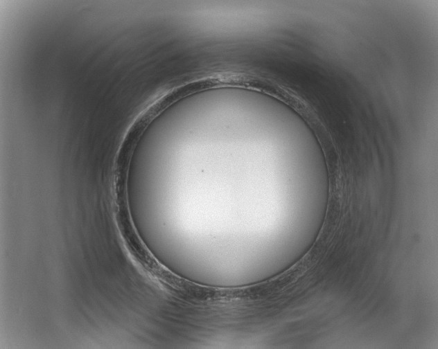 X0000063530730200601201151