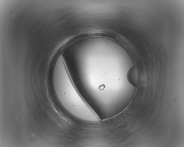 X0000063530732200601201151
