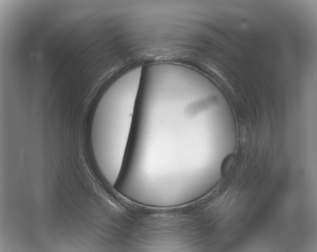 X0000063530733200601201151