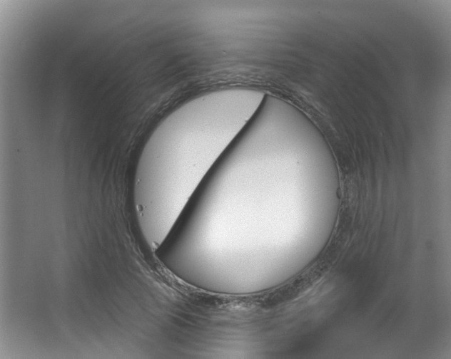 X0000063530737200601201151