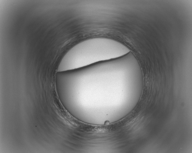 X0000063530741200601201151