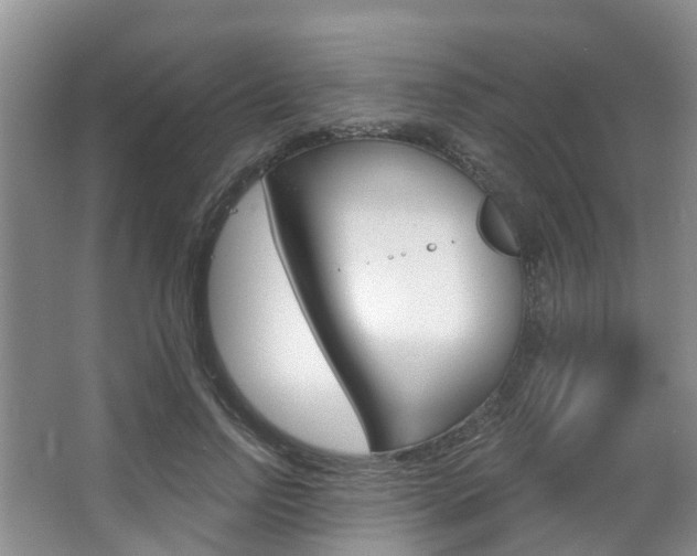 X0000063530742200601201151