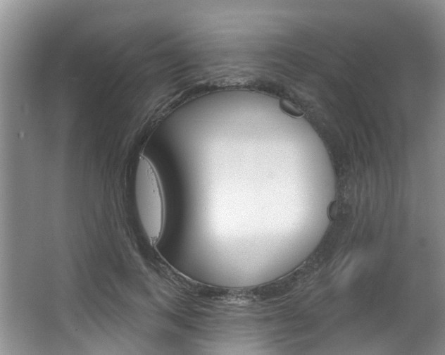 X0000063530743200601201151