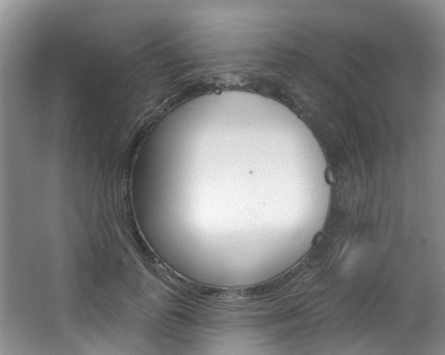 X0000063530747200601201151