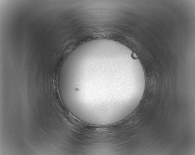 X0000063530749200601201151