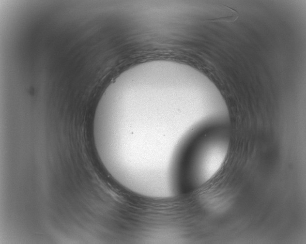 X0000063530750200601201151