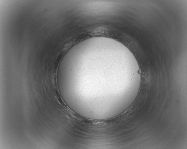 X0000063530753200601201151