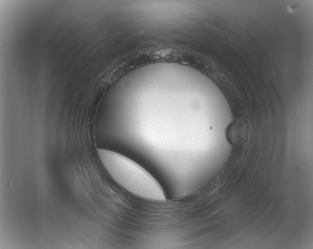 X0000063530754200601201151