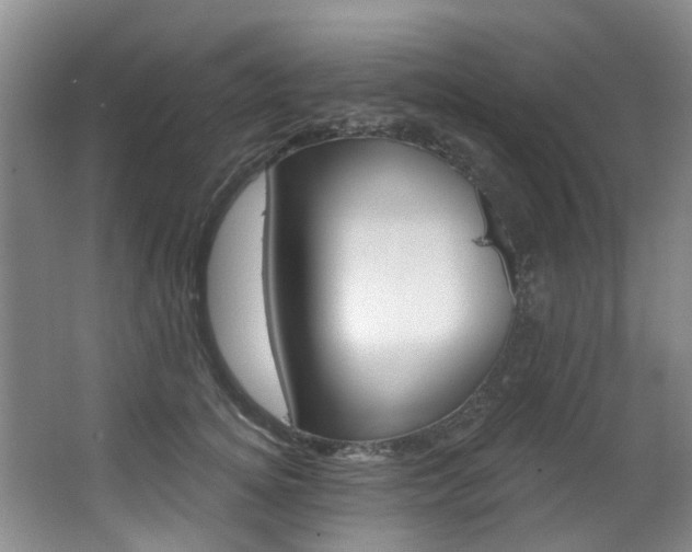 X0000063530756200601201151