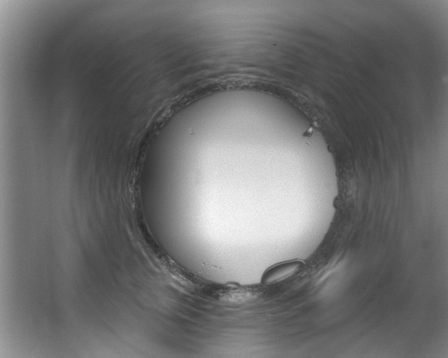 X0000063530759200601201151