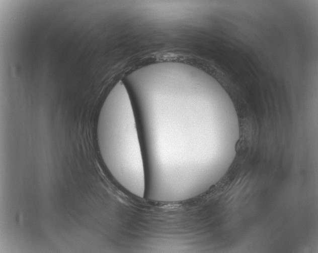 X0000063530761200601201151