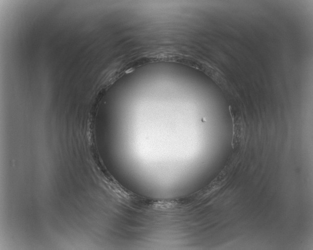 X0000063530762200601201151