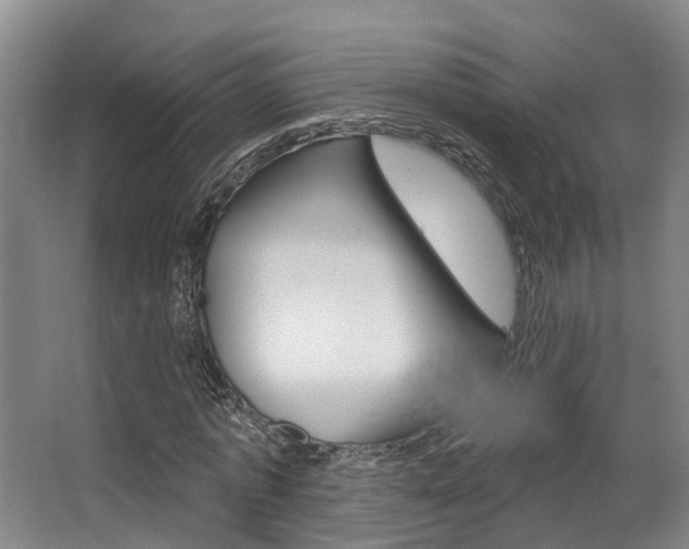 X0000063530773200601201150