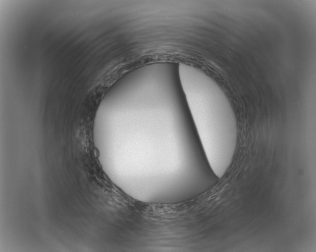 X0000063530774200601201150