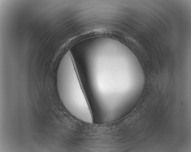 X0000063530776200601201150